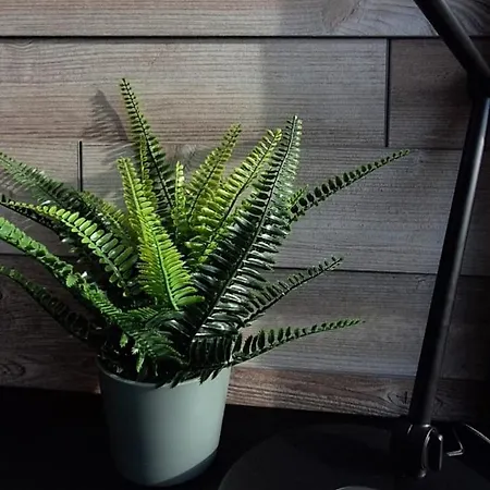 Keller - Dq Tower Sulz am Neckar